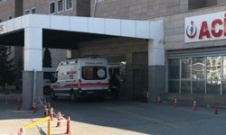 Kurban Bayramı acemilere ağır geldi
