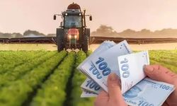 Milyonlarca lira hesaplara yatıyor