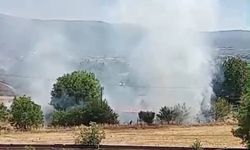 Kuru otlar alev aldı, itfaiye zamanında müdahale etti