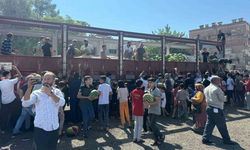 Vatandaşa 27 ton karpuz dağıttı