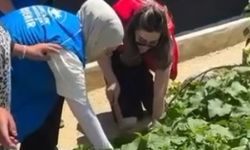 Kırşehir’de gençler tarlaya indi