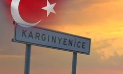 Yenice Köyü’nde  şap hastalığı alarmı!