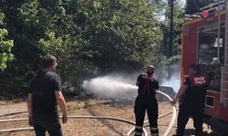 Zonguldak’ta Orman Yangını Korkuttu