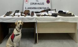 Osmancık’ta Kaçak S*lah ve Tarihi Eser Operasyonu
