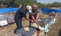 Tarım ve Hayvancılık için ilçe müdürlüğü sahada