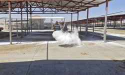 Kırşehir Canlı Hayvan Pazarı’nda temizlik tamamlandı