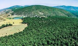 Bozkırda tarih, doğa ve huzurun buluştuğu o ilçe!