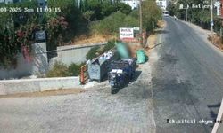 Çevreyi kirletenlere para cezası yağdı