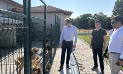 Kaymakam ve başkan can dostlarla buluştu
