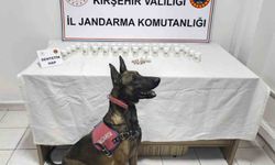 Kırşehir’de binlerce sentetik hap ele geçirildi
