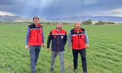Kırşehir’de rakamlar gerçeği ortaya koydu