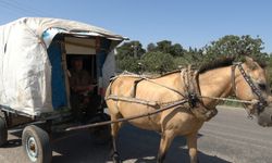 Kültürü yaşatılıyor, 20 yıldır kapı kapı dolaşıyor