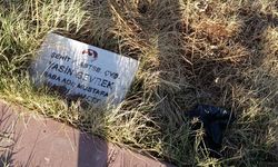 Şehitlik  bakımsızlıktan yok olma tehlikesiyle karşı karşıya