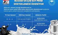Buzağı ve çiğ süt desteklemeleri hesaplara yatıyor