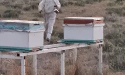 Kırşehir arıcılığında destek dönemi başladı