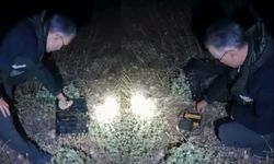 Kırşehir’de kaçak avcılığa geçit yok