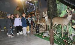 Kırşehir’de minik doğa kaşifleri biyoçeşitliliği öğrendi