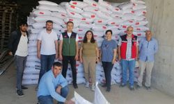 Kırşehir’de sertifikalı tohum numune alımları başarıyla gerçekleştirildi
