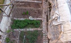 Kırşehir’de sonbahar hasadı için bahçeler hazırlanıyor