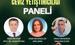 Kaman’da Ceviz Yetiştiriciliği Paneli Düzenleniyor