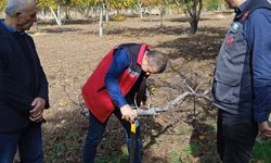 Ceviz Bahçelerinde eğitim!