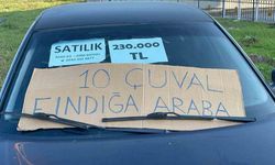 Fındıkla araba sahibi olma şansı