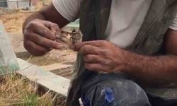 Gören şaşkına döndü!