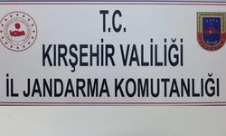 Kırşehir’de ruhsatsız tüfek operasyonu