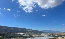 Sultaniye Üzümleri Örtü Altında Korunuyor