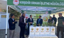 Bozkırın kalbinde umut yeşerdi