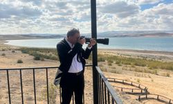 Doğanın kalbinde kuş gözlem kulesi açıldı