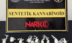 Son dakika: Kırşehir’de Narkotik Operasyonu!