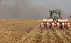 Kırşehir çiftçisine milyarlar akıyor, hesaplar bugün doluyor