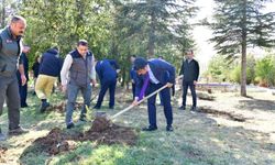 Kırşehir'in o köyünde umut yeşerdi