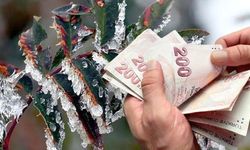 Kırşehirli çiftçilere zirai don destekleri yolda