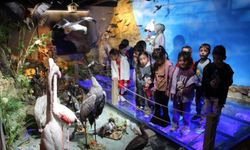 Minikler doğayı keşfetti