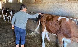 Aşılama oranı yüzde 92’ye ulaştı