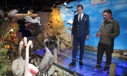 Kırşehir’de Yaban Hayatı ve Doğa Koruma görüşmesi