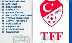 Kırşehirspor’da taşlar yerinden oynadı