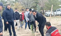 Boztepe’de yeşil vatan için fidanlar toprakla buluştu