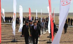 Ceza infaz kurumları fidanlarla yeniden yeşeriyor