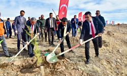 Hatıra ormanında fidanlar toprakla buluştu