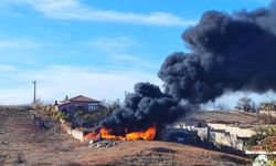 Jandarmanın hızlı müdahalesi yangının büyümesini engelledi