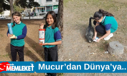 Mucur’dan Dünya sahnesine: Öğrenciler iklim eyleminde