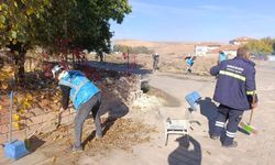 Kırşehir Çiçekdağı’nda temizlik seferberliği