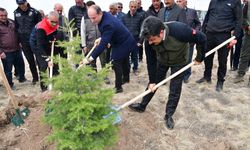 ‘Kırşehir’e Nefes Veriyor’ Projesi Boztepe’de hayat buldu