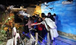 Tabiat Müzesi’nde ‘Yüzümüz Gülsün’ buluşması