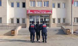 Jandarmanın titiz takibi sonuç verdi!