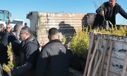 400 fidan toprakla buluştu