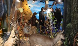 Kırşehir’de Öğrencilere Doğa ve Biyoçeşitlilik Eğitimi